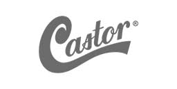 Logo da empresa/parceiro Castor.